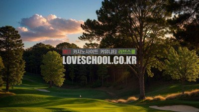 블러핑의 묘미, 텍사스 홀덤 메뉴얼